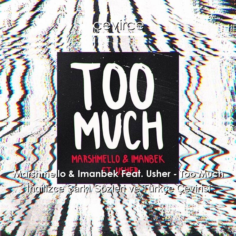 Marshmello & Imanbek Feat. Usher – Too Much İngilizce Sözleri Türkçe Anlamları