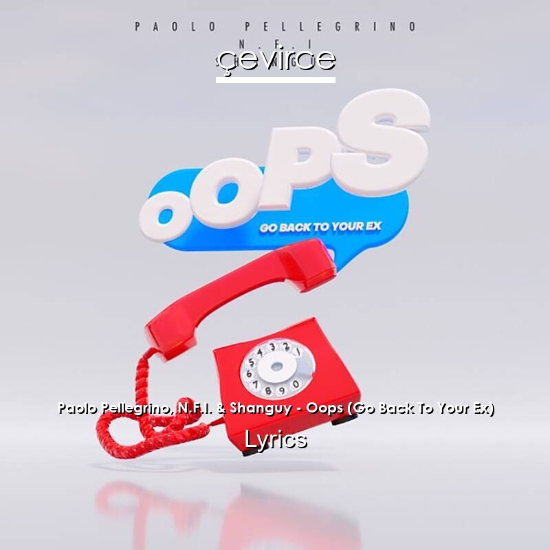 Paolo Pellegrino, N.F.I. & Shanguy – Oops (Go Back To Your Ex) Lyrics