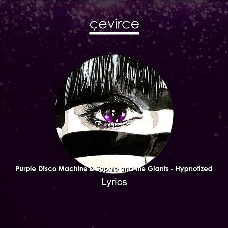 Purple Disco Machine & Sophie and the Giants – Hypnotized Lyrics