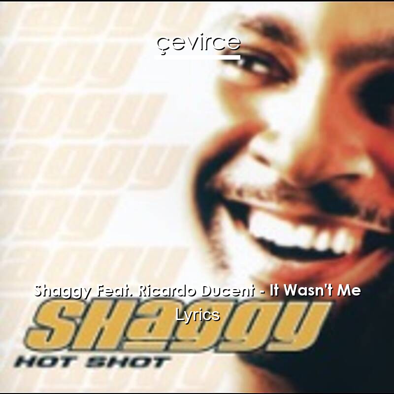 Shaggy Feat. Ricardo Ducent – It Wasn’t Me Lyrics