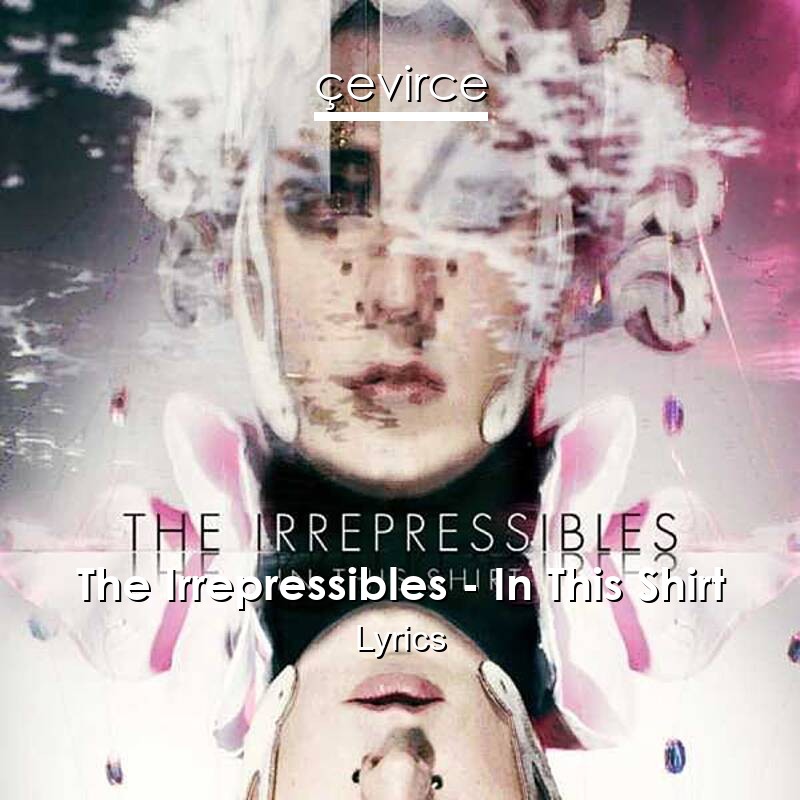 The Irrepressibles – In This Shirt Lyrics