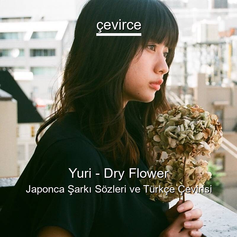 Yuri – Dry Flower Japonca Sözleri Türkçe Anlamları