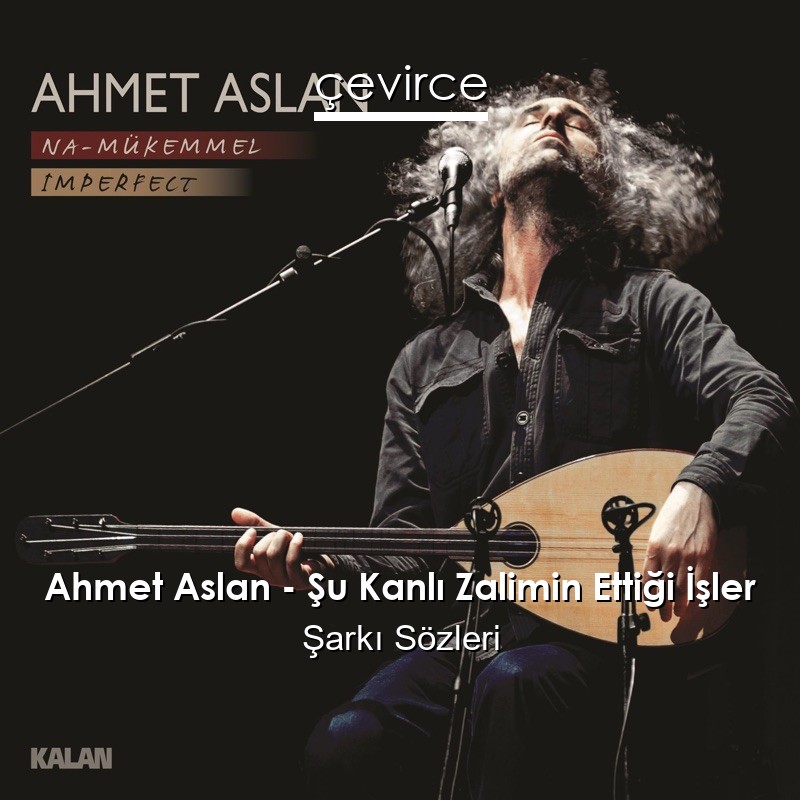 Ahmet Aslan – Şu Kanlı Zalimin Ettiği İşler Şarkı Sözleri