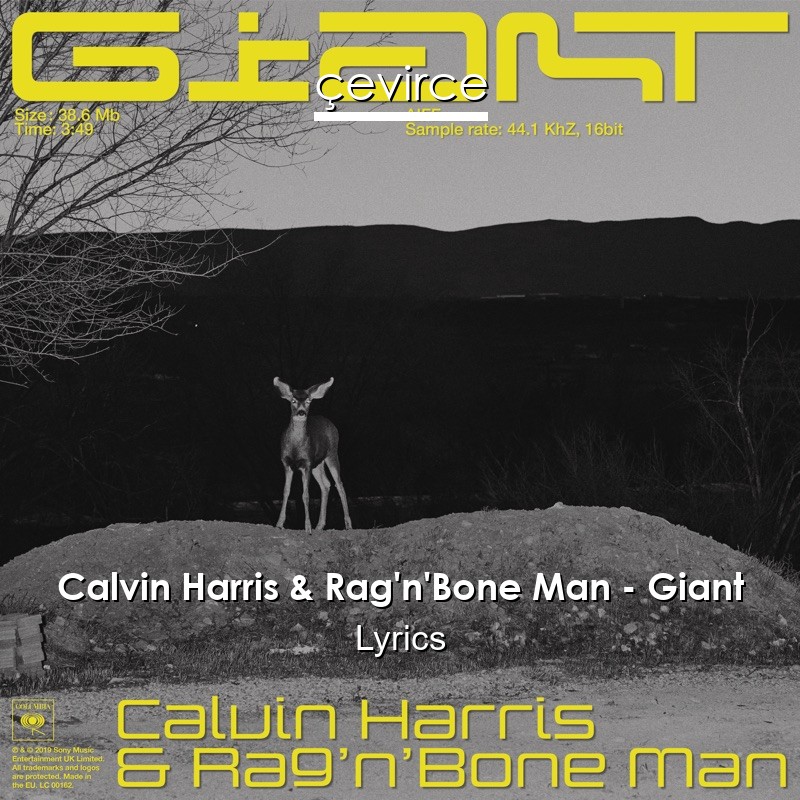 Calvin Harris & Rag’n’Bone Man – Giant Lyrics