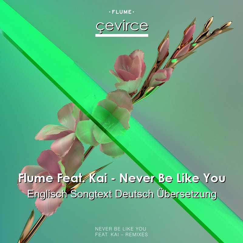 Flume Feat. Kai – Never Be Like You Englisch Songtext Deutsch Übersetzung