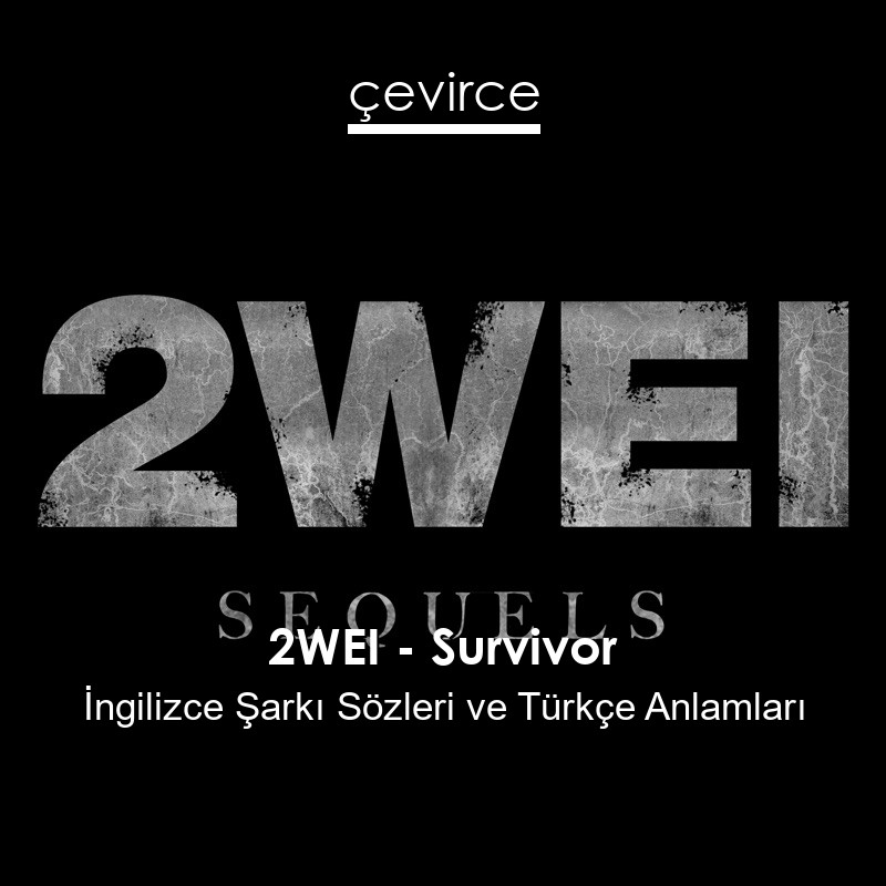 2WEI – Survivor İngilizce Sözleri Türkçe Anlamları