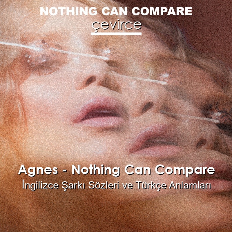 Agnes – Nothing Can Compare İngilizce Sözleri Türkçe Anlamları