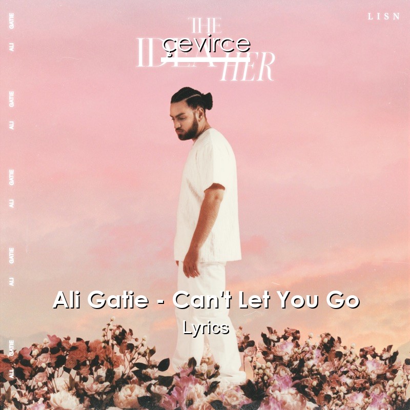 Ali Gatie – Can’t Let You Go Lyrics