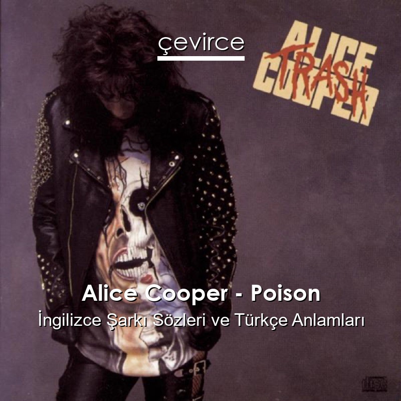 Alice Cooper – Poison İngilizce Sözleri Türkçe Anlamları