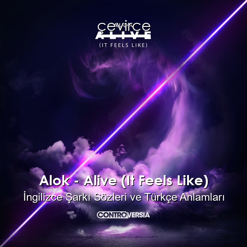 Alok – Alive (It Feels Like) İngilizce Sözleri Türkçe Anlamları