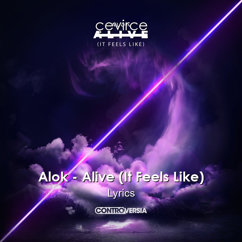 Alok – Alive (It Feels Like) Lyrics