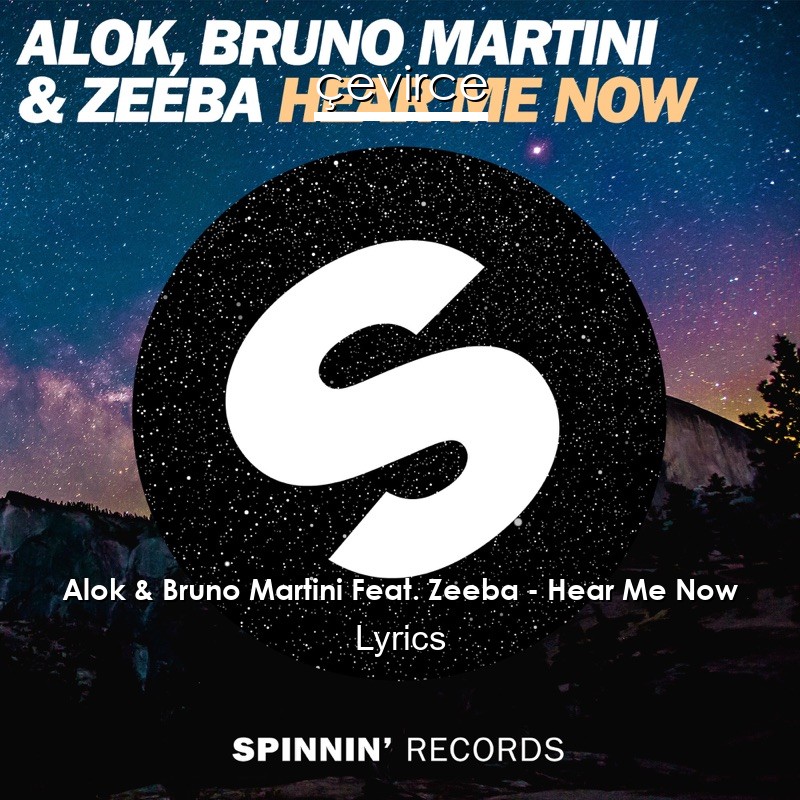 Alok & Bruno Martini Feat. Zeeba – Hear Me Now Lyrics