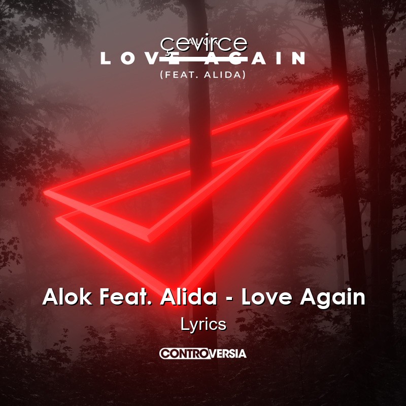 Alok Feat. Alida – Love Again Lyrics