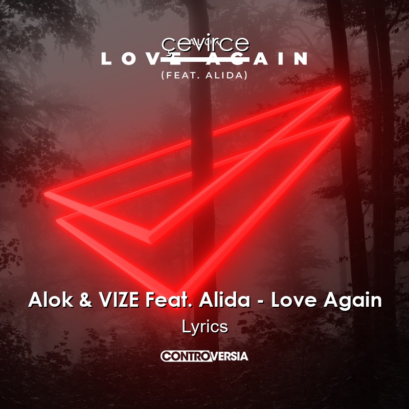 Alok & VIZE Feat. Alida – Love Again Lyrics