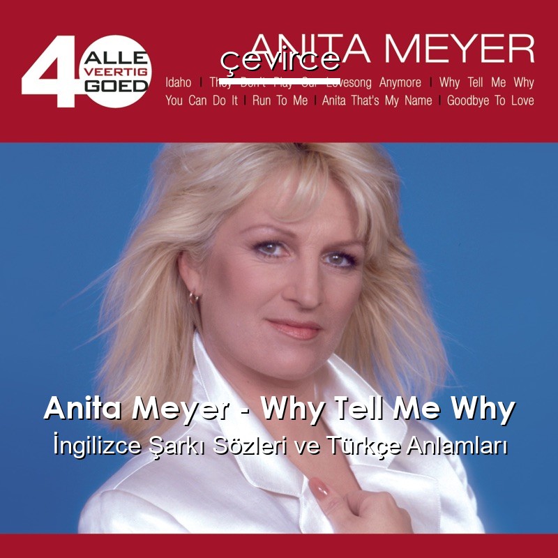 Anita Meyer – Why Tell Me Why İngilizce Sözleri Türkçe Anlamları