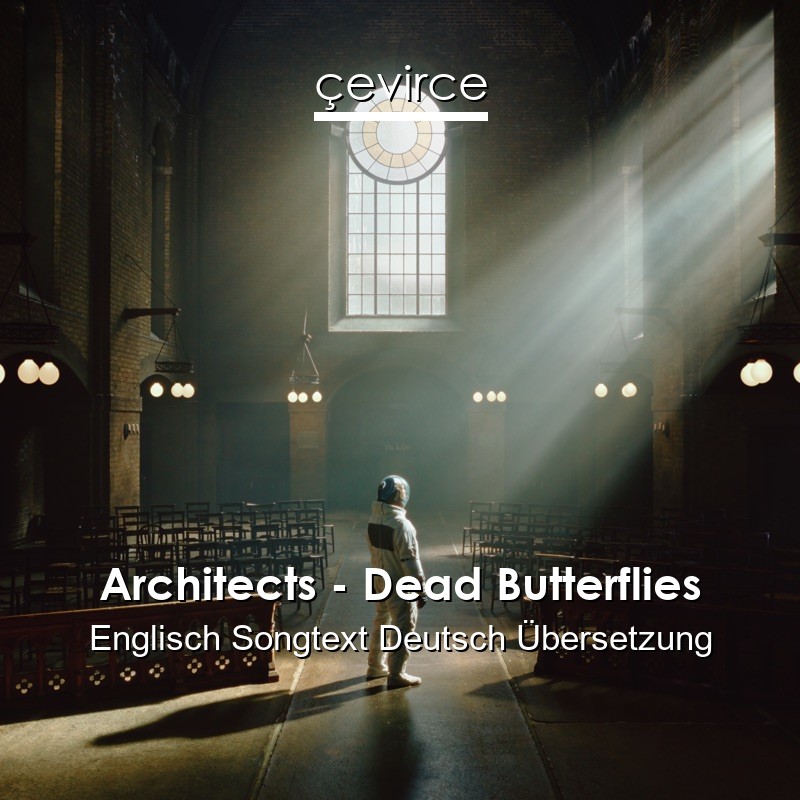 Architects – Dead Butterflies Englisch Songtext Deutsch Übersetzung