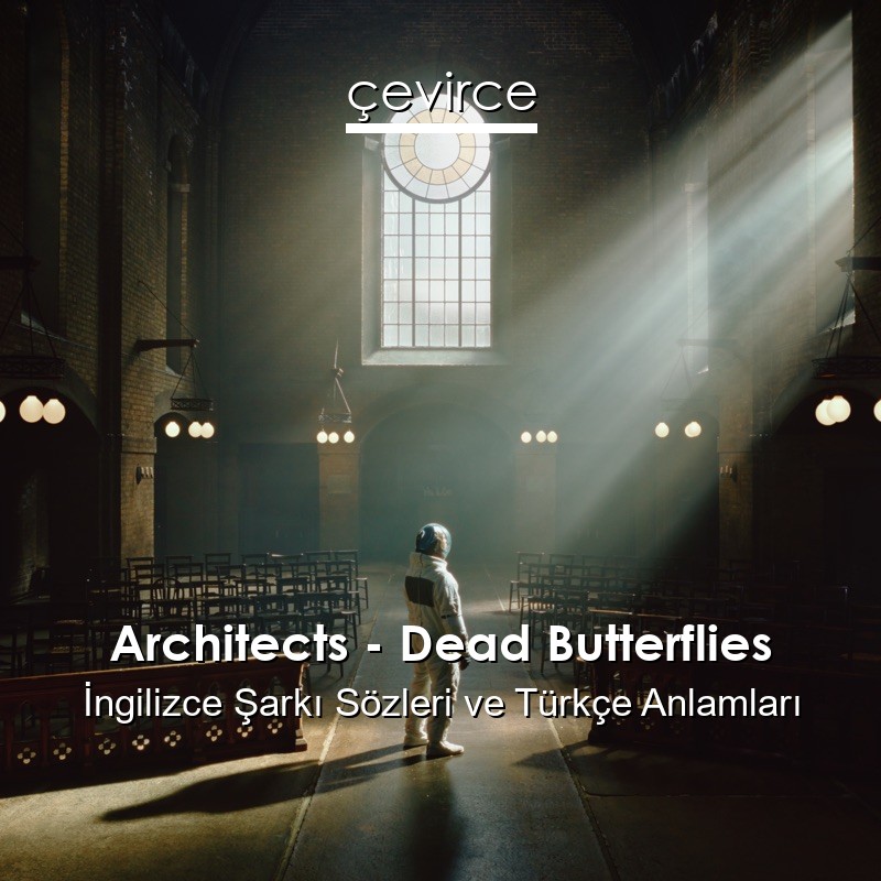 Architects – Dead Butterflies İngilizce Sözleri Türkçe Anlamları