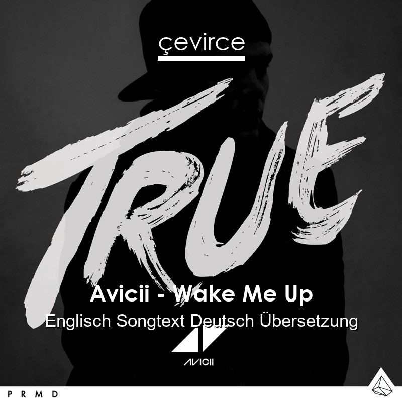 Avicii – Wake Me Up Englisch Songtext Deutsch Übersetzung