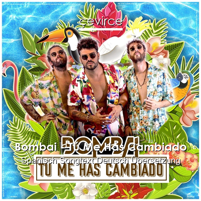 Bombai – Tú Me Has Cambiado Spanisch Songtext Deutsch Übersetzung