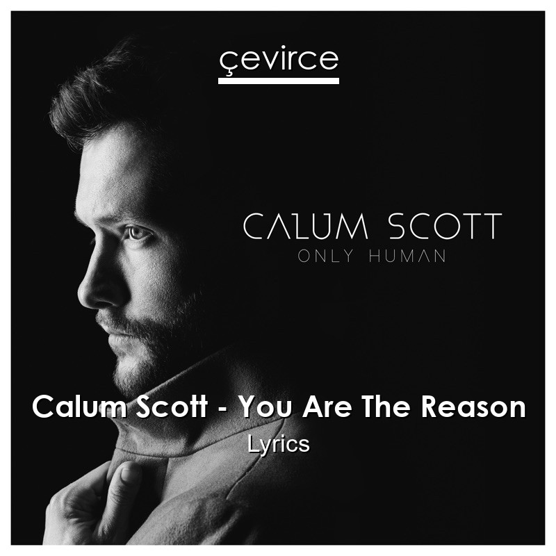 Calum Scott – You Are The Reason Lyrics