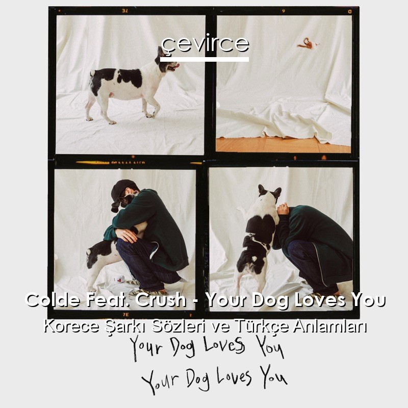 Colde Feat. Crush – Your Dog Loves You Korece Sözleri Türkçe Anlamları