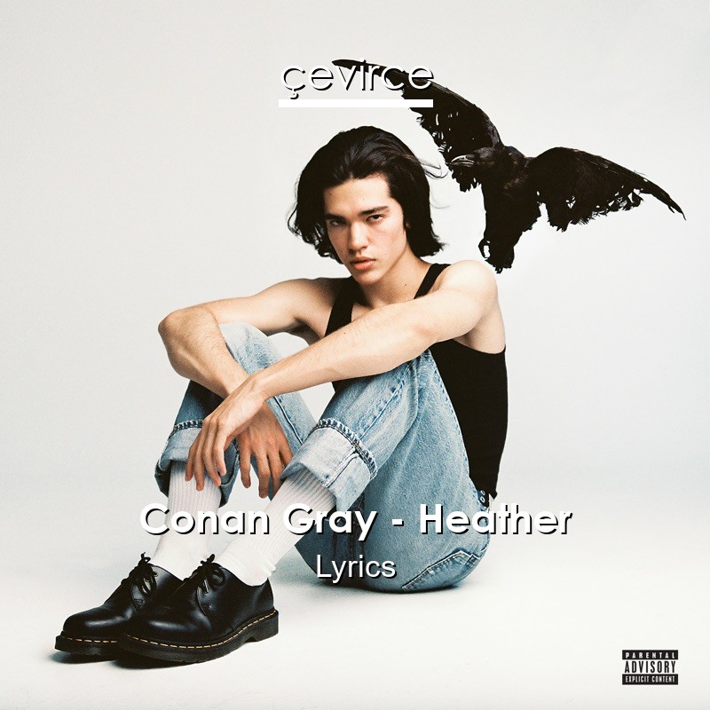 Conan Gray – Heather Lyrics