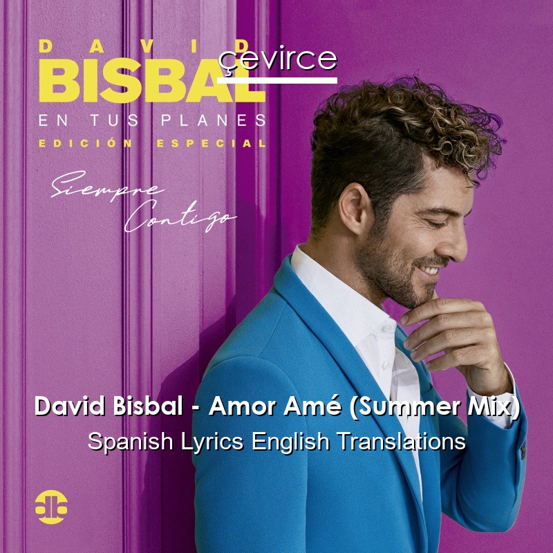 David Bisbal – Amor Amé (Summer Mix) Spanish Lyrics English Translations