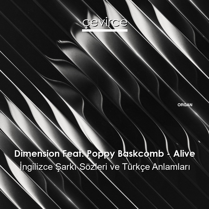 Dimension Feat. Poppy Baskcomb – Alive İngilizce Sözleri Türkçe Anlamları