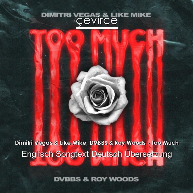 Dimitri Vegas & Like Mike, DVBBS & Roy Woods – Too Much Englisch Songtext Deutsch Übersetzung