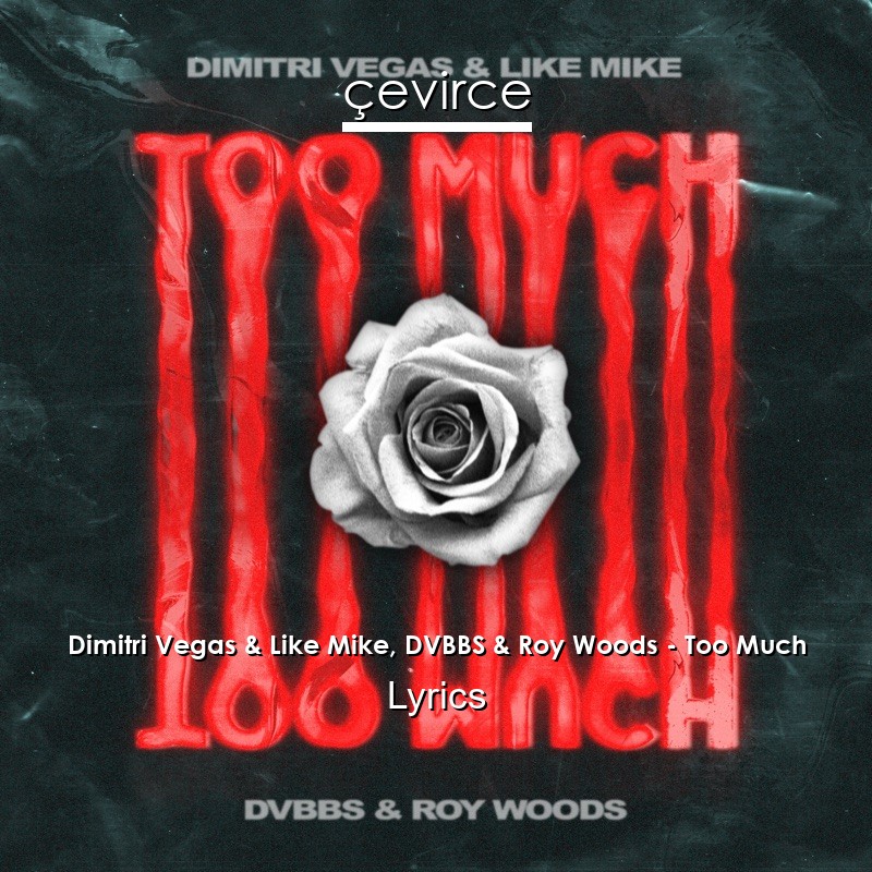 Dimitri Vegas & Like Mike, DVBBS & Roy Woods – Too Much Lyrics