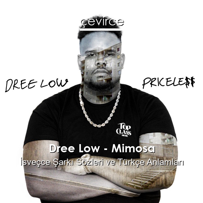 Dree Low – Mimosa İsveçce Sözleri Türkçe Anlamları