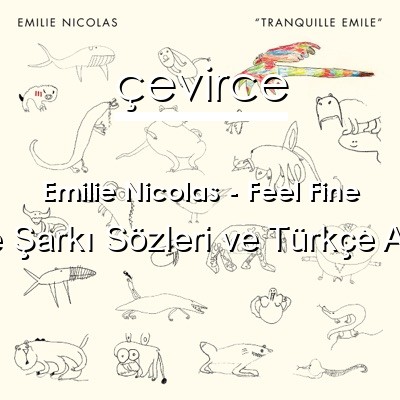 Emilie Nicolas – Feel Fine İngilizce Sözleri Türkçe Anlamları