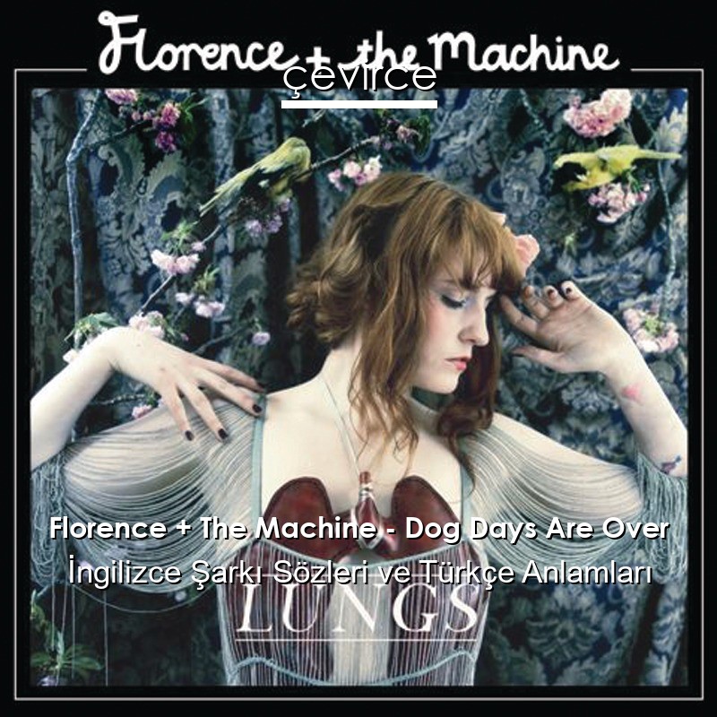 Florence + The Machine – Dog Days Are Over İngilizce Sözleri Türkçe Anlamları