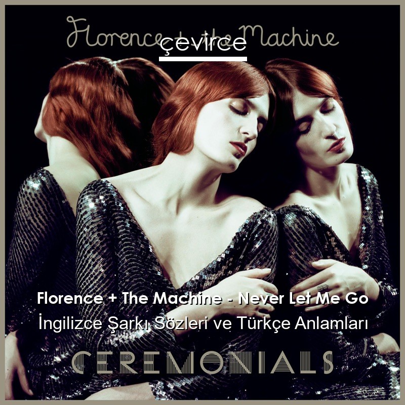 Florence + The Machine – Never Let Me Go İngilizce Sözleri Türkçe Anlamları