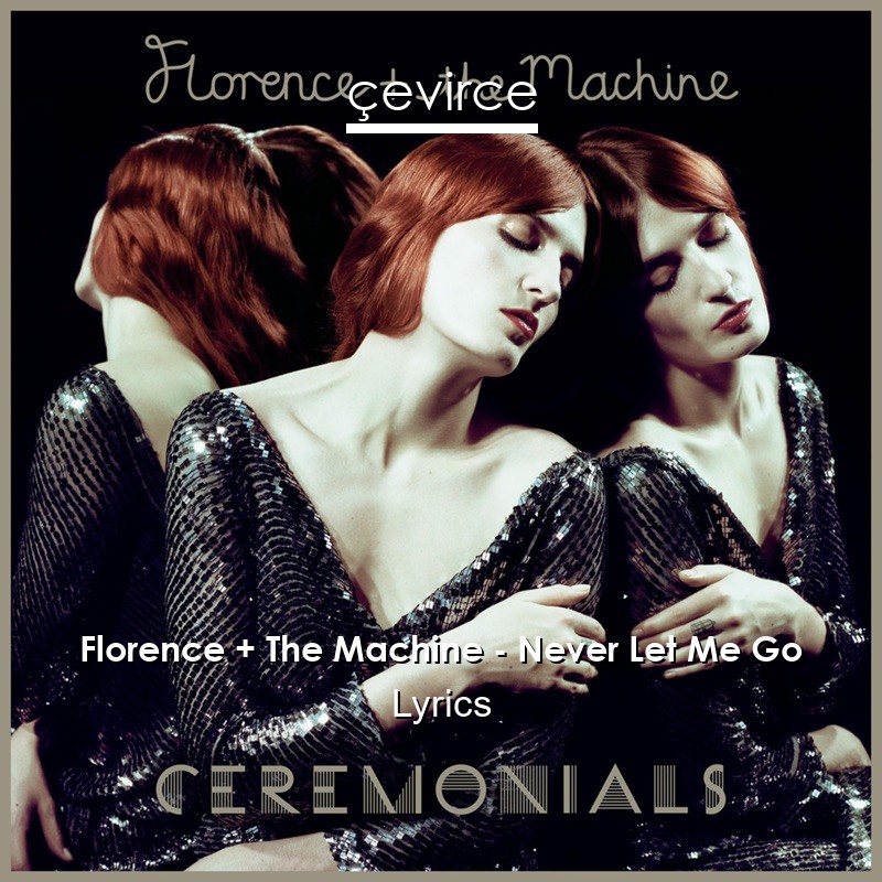 Florence + The Machine – Never Let Me Go Lyrics