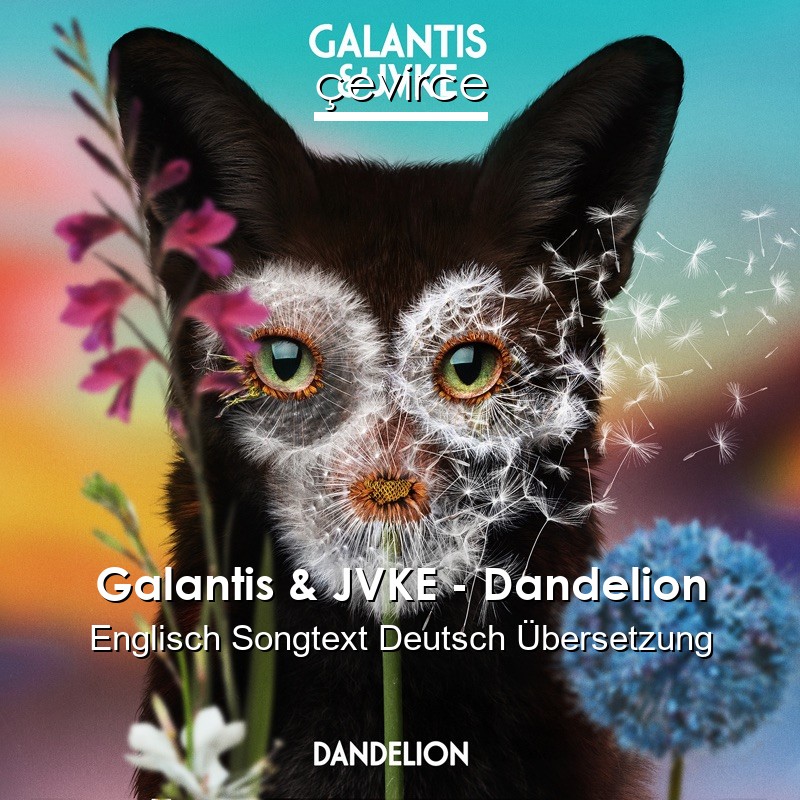 Galantis & JVKE – Dandelion Englisch Songtext Deutsch Übersetzung