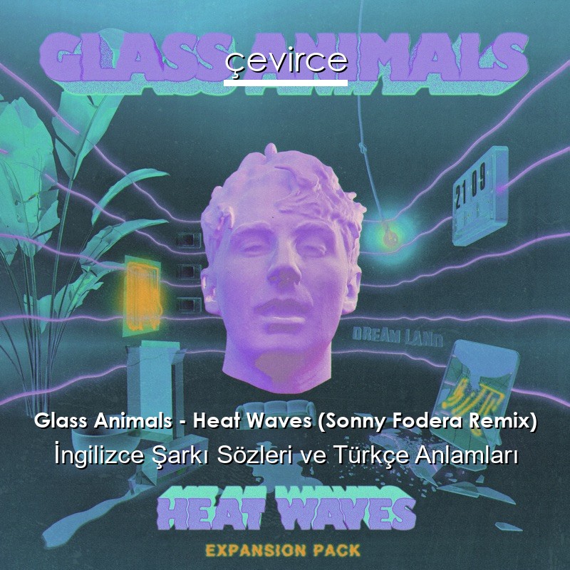 Glass Animals – Heat Waves (Sonny Fodera Remix) İngilizce Sözleri Türkçe Anlamları