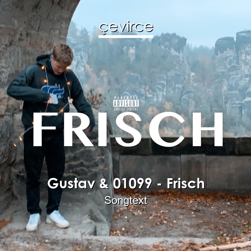 Gustav & 01099 – Frisch Songtext