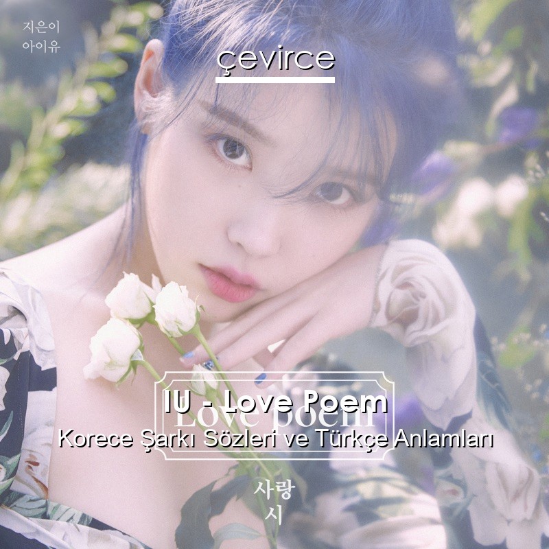 IU – Love Poem Korece Sözleri Türkçe Anlamları