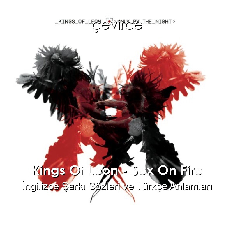 Kings Of Leon – Sex On Fire İngilizce Sözleri Türkçe Anlamları