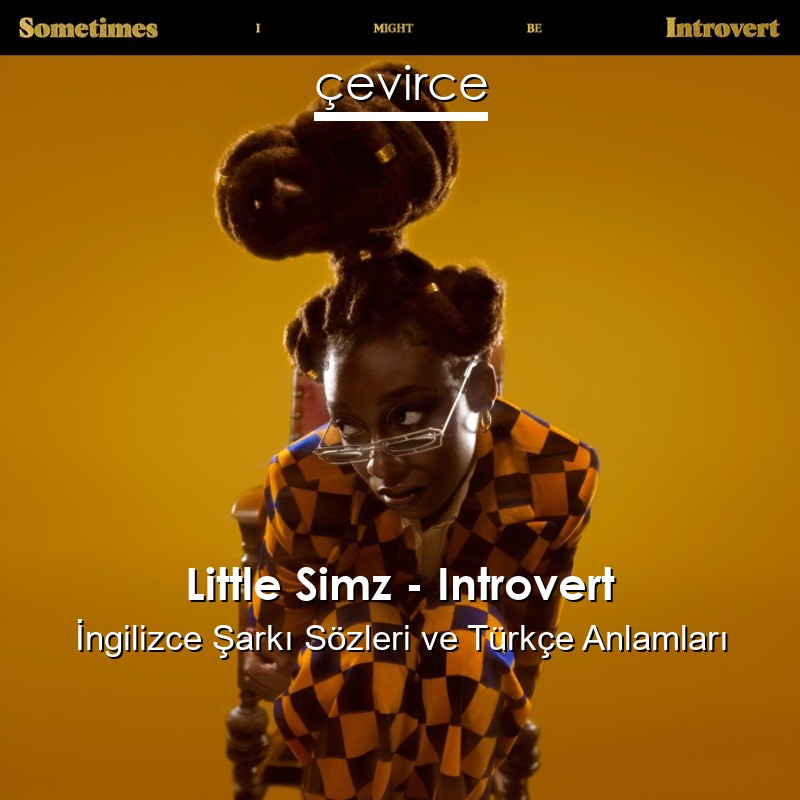 Little Simz – Introvert İngilizce Sözleri Türkçe Anlamları