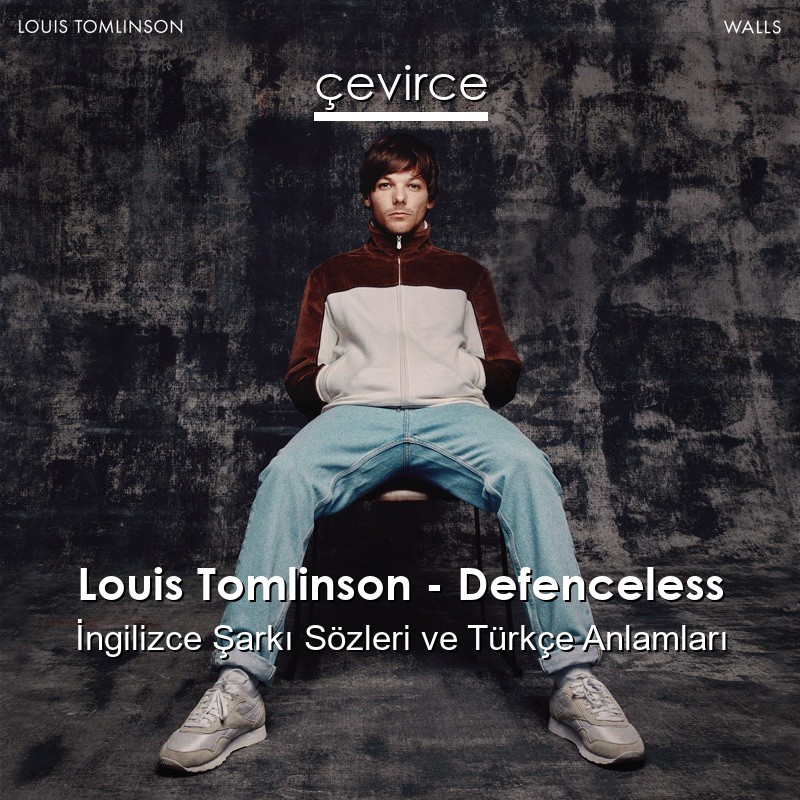 Louis Tomlinson – Defenceless İngilizce Sözleri Türkçe Anlamları