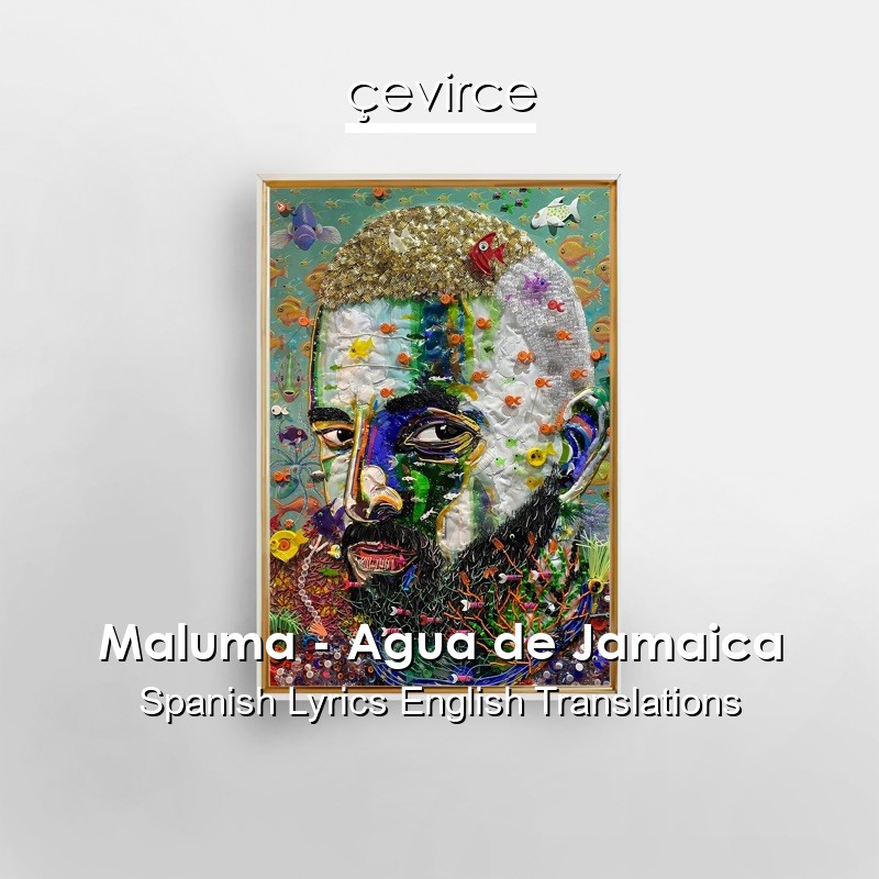 Maluma – Agua de Jamaica Spanish Lyrics English Translations