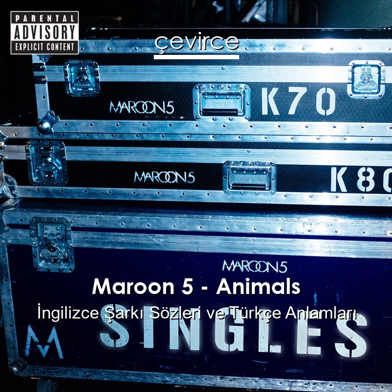 Maroon 5 – Animals İngilizce Sözleri Türkçe Anlamları