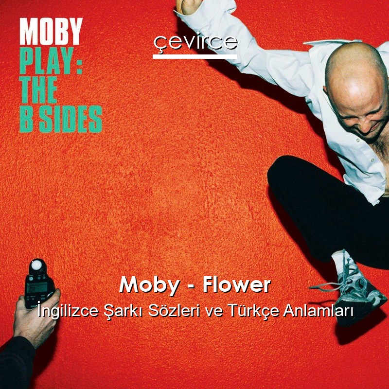 Moby – Flower İngilizce Sözleri Türkçe Anlamları