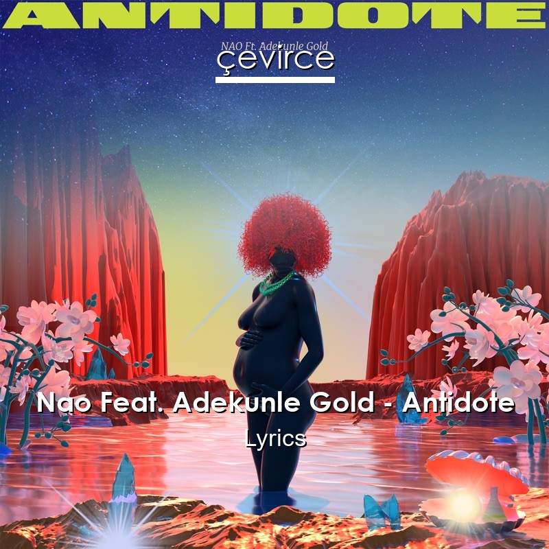 Nao Feat. Adekunle Gold – Antidote Lyrics