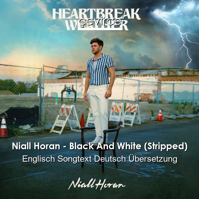 Niall Horan – Black And White (Stripped) Englisch Songtext Deutsch Übersetzung