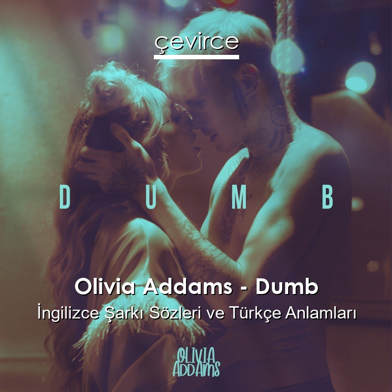 Olivia Addams – Dumb İngilizce Sözleri Türkçe Anlamları