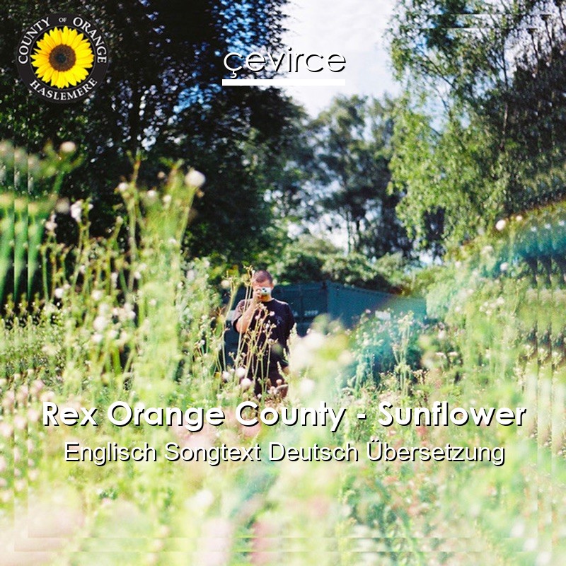 Rex Orange County – Sunflower Englisch Songtext Deutsch Übersetzung