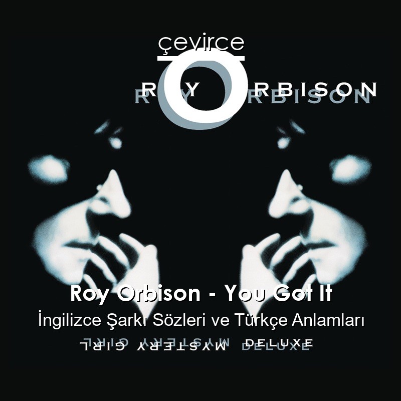 Roy Orbison – You Got It İngilizce Sözleri Türkçe Anlamları